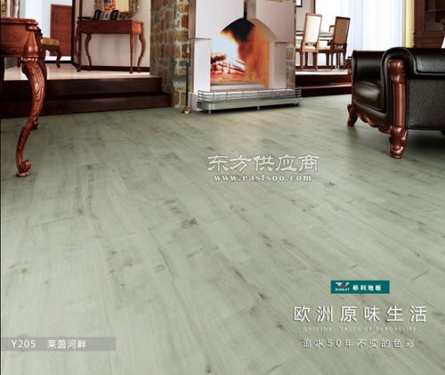 常州強化地板,強化地板,常州復合地板品牌圖片