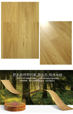 大自然強化地板【依云如風LC6606】名品主材包